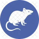 Rata Topo Raton Icon