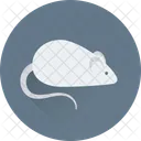 Rata Raton Animales Icono