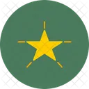 Rating Rate Shinning Star Icon