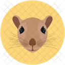 Rato Rato Animal De Estimacao Icon