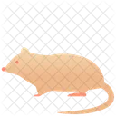 Rato Animal Criatura Ícone