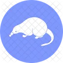 Rato Toupeira Rato Icon