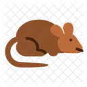 Ratón  Icono