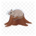 Raton Ratones Animal Icono