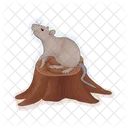 Raton Ratones Animal Icono