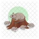 Raton Ratones Animal Icono