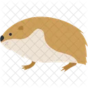 Ratón  Icon