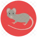 Raton Rata Animales Icono