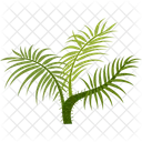 Rattan Palm Palm Tree Beach Icon