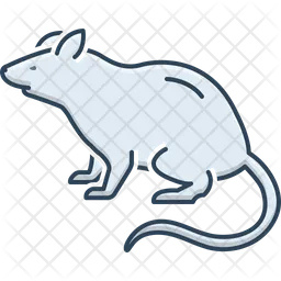 Ratte  Symbol