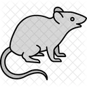 Ratte  Symbol