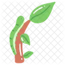 Fruhling Fruhling Natur Symbol
