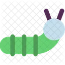 Raupe Insekt Kafer Symbol