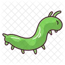 Raupe Insekt Kafer Symbol