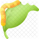 Raupe Insekt Kafer Symbol