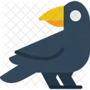 Bird Crow Animal Icon