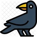 Bird Crow Animal Icon