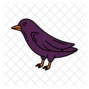 Raven Colored Outline Animals Halloween Icon