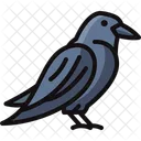 Raven Icon