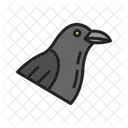 Raven  Icon