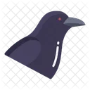 Raven Crow Birds Icon