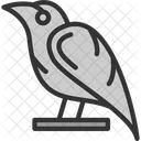 Raven Crow Bird Icon