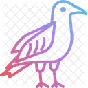 Raven Halloween Bird Icon