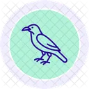 Raven Bird Black Icon