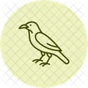 Raven Bird Black Icon