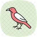 Raven Bird Black Icon