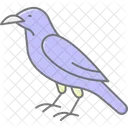 Raven Bird Black Icon
