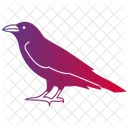 Raven Bird Black Icon