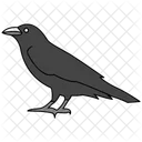 Raven  Icon