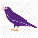 Raven Bird Black Icon