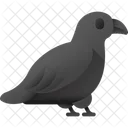 Raven Bird Crow Icon