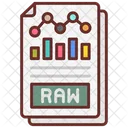 Raw Data Raw Information Audit Icon