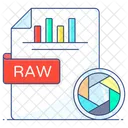 Raw File Raw Data Raw Format Icon