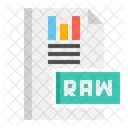 Raw Data Icon