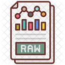 Raw Data Raw Information Audit Icon