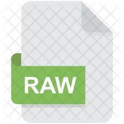 Raw File  Icon