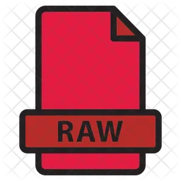 Raw File  Icon