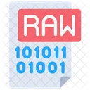 Raw File Raw Data Icon