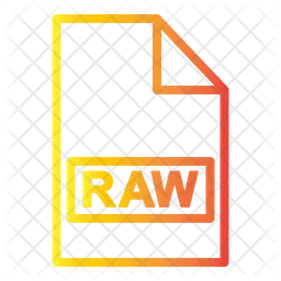 Raw File  Icon