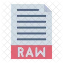 Raw File Raw File Icon