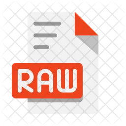 Raw File  Icon