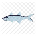 Rawas Fish  Icon
