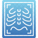 Radiographie Chirurgie Plastique Radiographie Icon