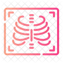 Rayos X Prueba De Rayos X Icono