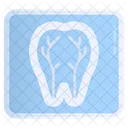 Medicina Dentista Cirugia Icon