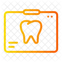 Rayos X Asistencia Sanitaria Y Medica Atencion Dental Icon